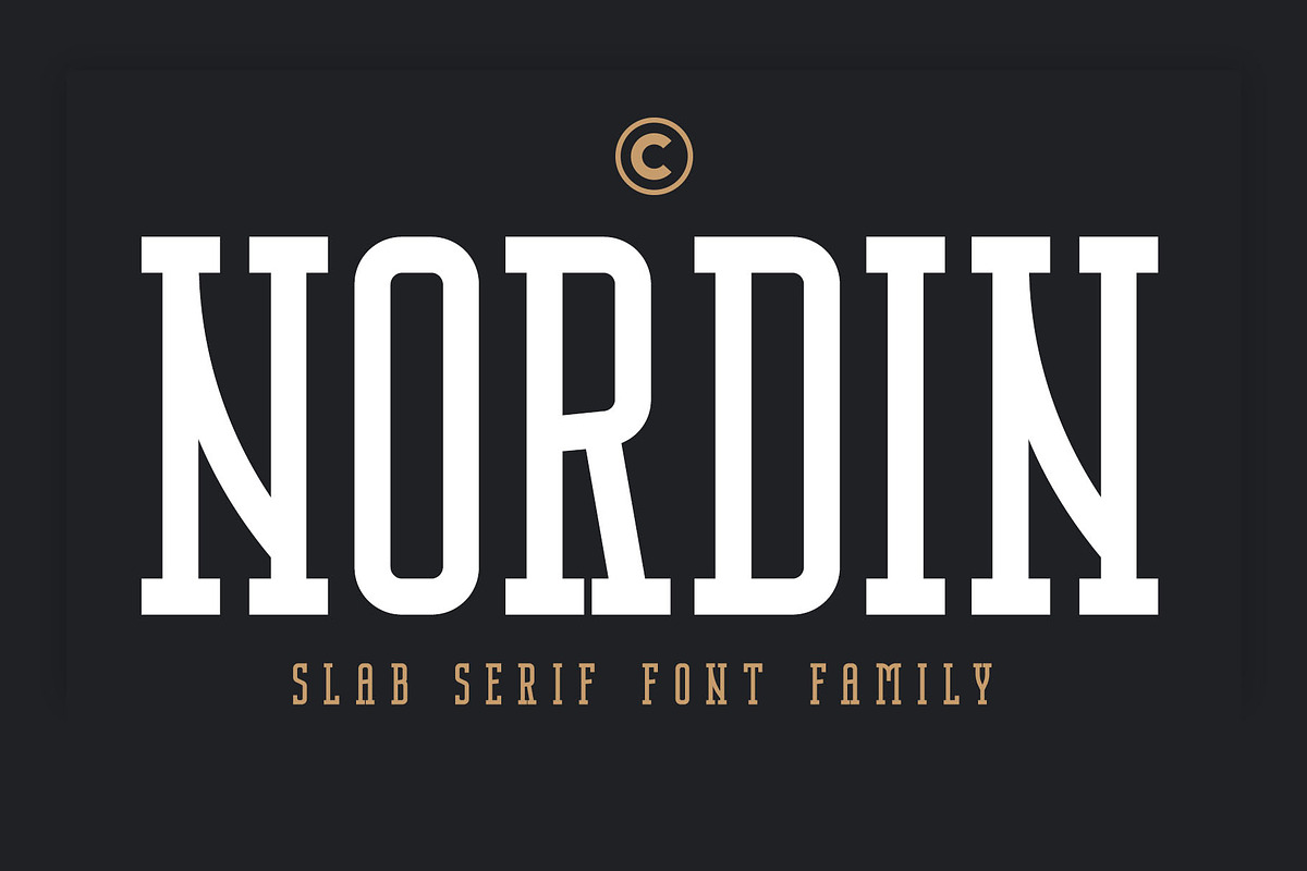 Nordin Slab - Condensed Slab Serif in Slab Serif Fonts - product preview 8