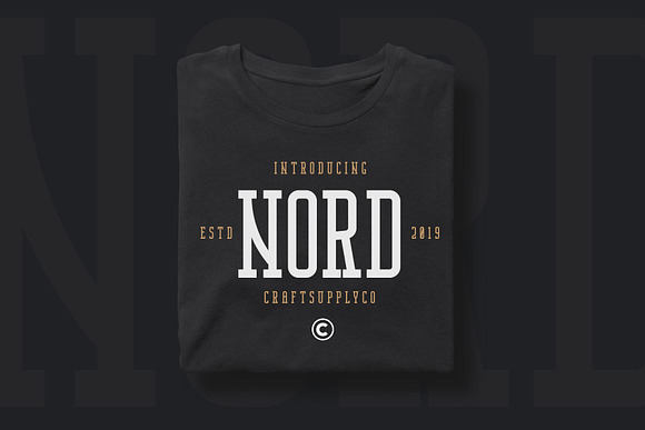 Nordin Slab - Condensed Slab Serif in Slab Serif Fonts - product preview 7