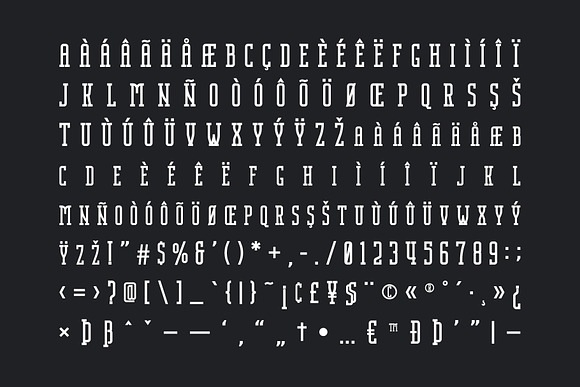 Nordin Slab - Condensed Slab Serif in Slab Serif Fonts - product preview 11