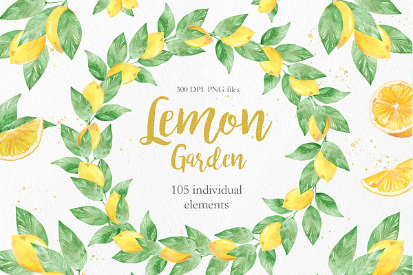 Watercolor Lemon Clipart Collection