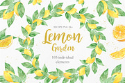 Watercolor Lemon Clipart Collection