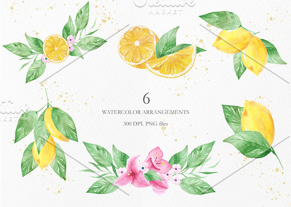 Watercolor Lemon Clipart Collection in Illustrations - product preview 5