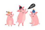 Three piggy in winter hats