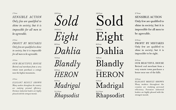 Serif 420 in Serif Fonts - product preview 7