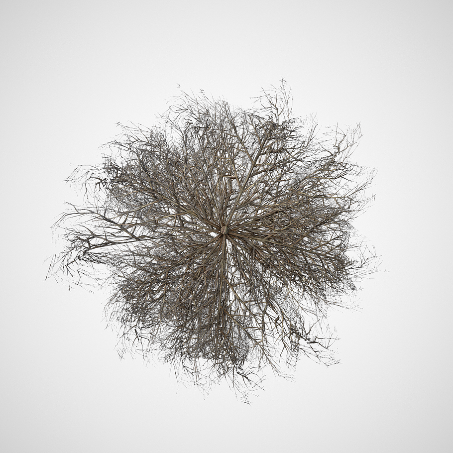 Tumbleweed LOW in Nature - product preview 8