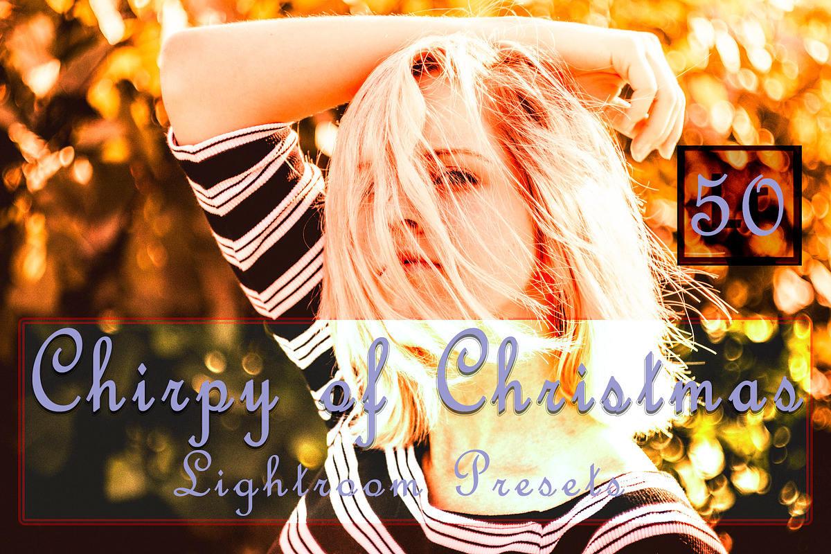 Chirpy of Christmas Lightroom Preset in Add-Ons - product preview 8