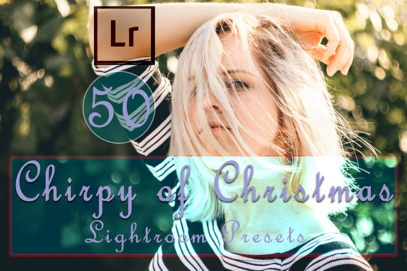 Chirpy of Christmas Lightroom Preset in Add-Ons - product preview 14