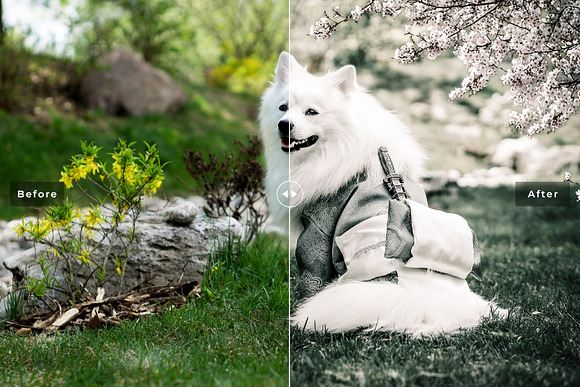 My Dog Lightroom Presets in Add-Ons - product preview 4