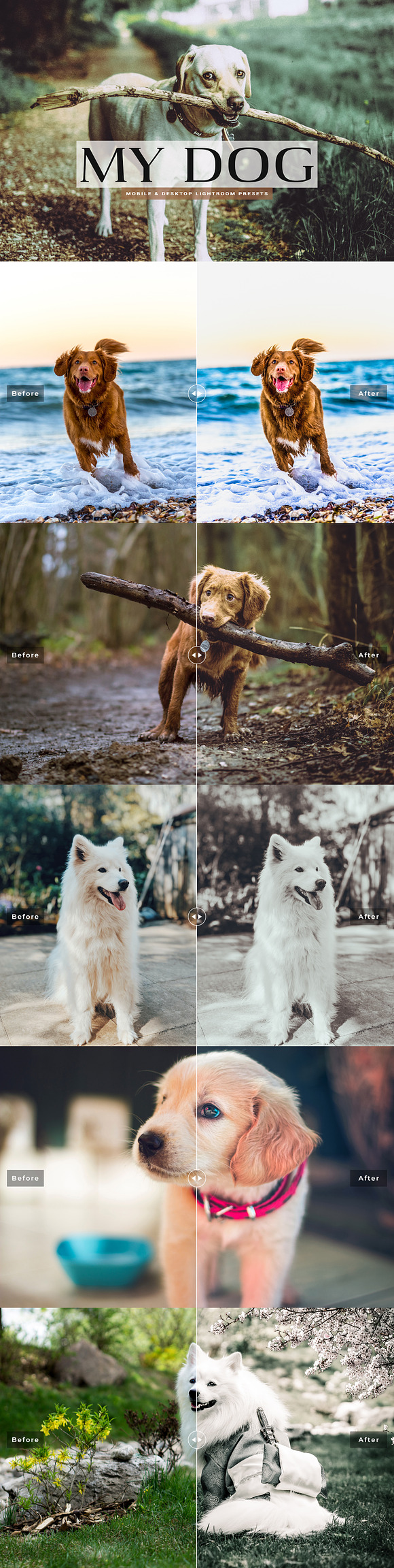 My Dog Lightroom Presets in Add-Ons - product preview 5