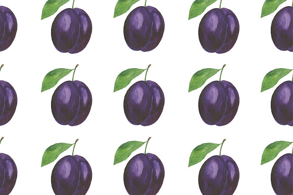 Watercolor plum set in Illustrations - product preview 5