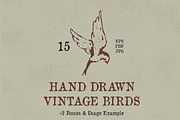 Hand Drawn Vintage Birds