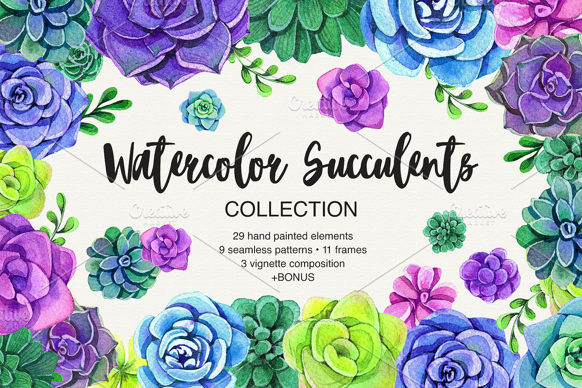 Watercolor Succulent Collection in Illustrations - product preview 8