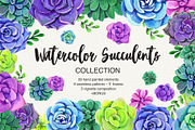 Watercolor Succulent Collection