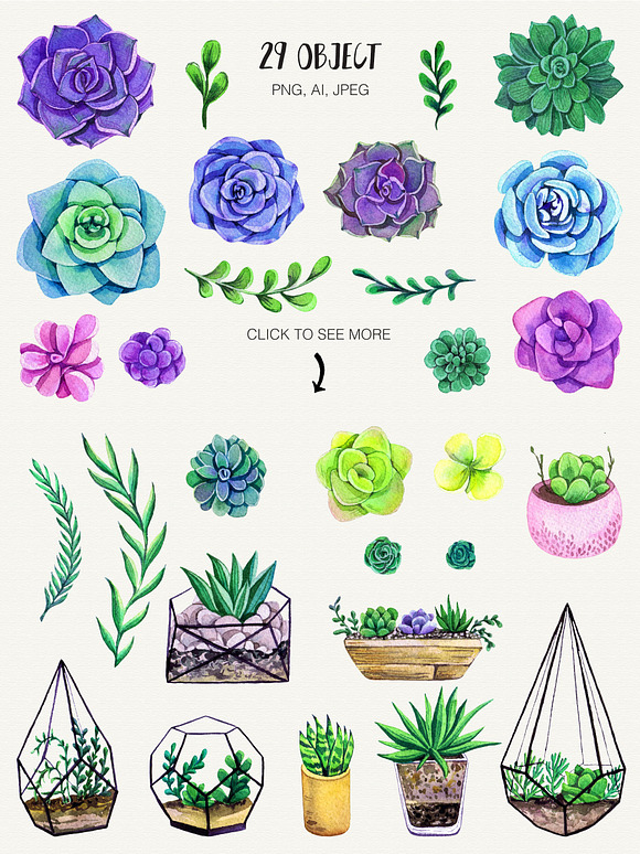 Watercolor Succulent Collection in Illustrations - product preview 1