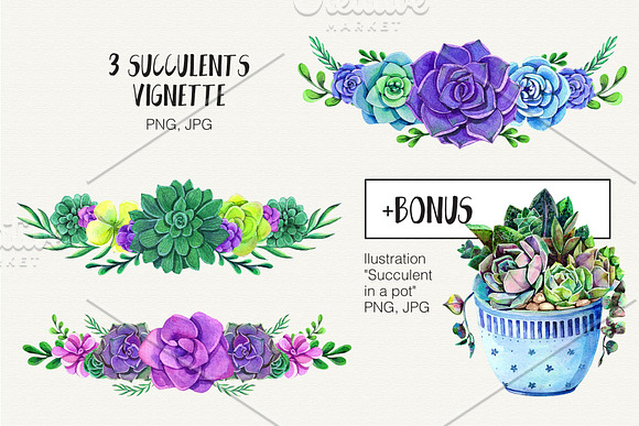 Watercolor Succulent Collection in Illustrations - product preview 4