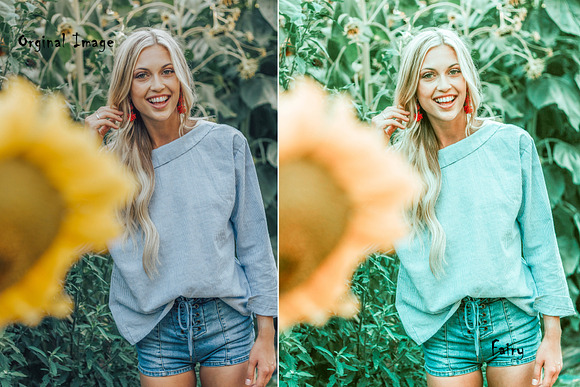 Fairy Lightroom Presets in Add-Ons - product preview 5