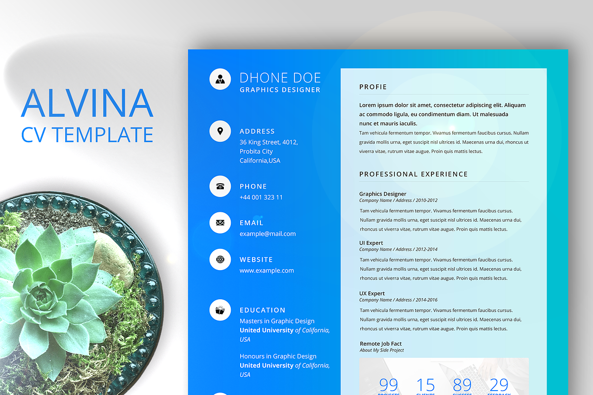Alvina Resume Template in Resume Templates - product preview 8