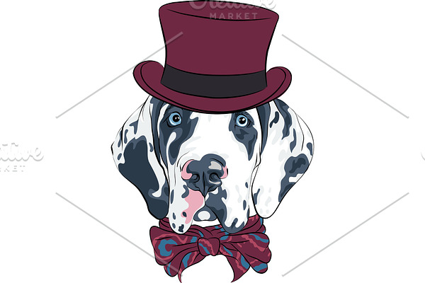 vector spotted dog Great Dane breed
