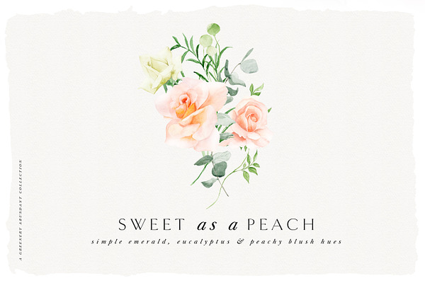 Sweet as a Peach - Watercolor Set