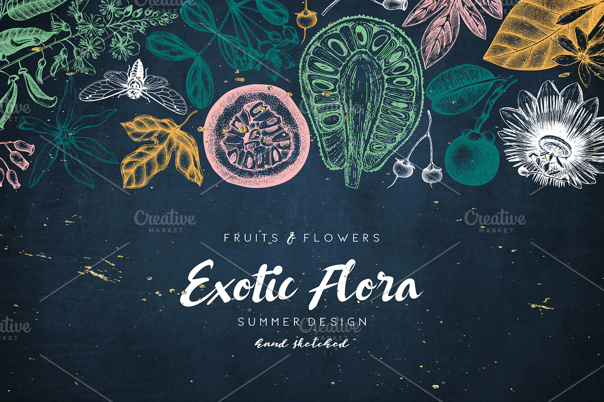 Exotic Plants Vector Collection in Objects - product preview 8