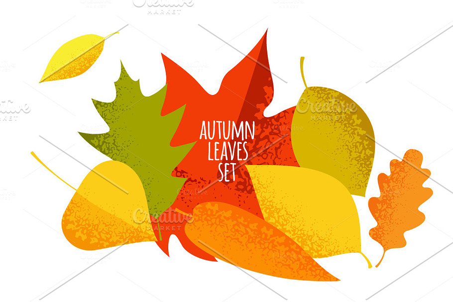 autumn leaves set in Objects - product preview 8
