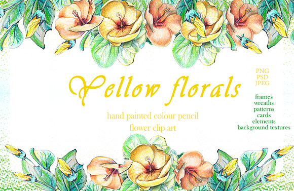 Yellow flowers in Illustrations - product preview 9