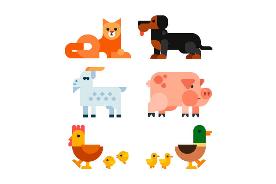 Domestic Animals in Illustrations - product preview 8