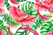 Tropical leaves,parrot pattern