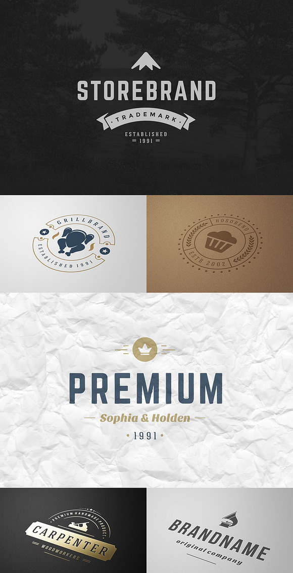 160 Vintage logotypes and badges in Logo Templates - product preview 5