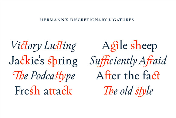 Hermann in Serif Fonts - product preview 7