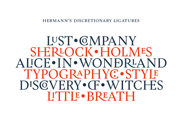 Hermann in Serif Fonts - product preview 12