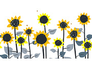 Sunflowers. Vector horizontal border