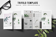 Multipurpose Trifold Brochure V872