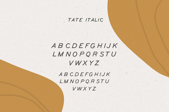 Tate Font in Display Fonts - product preview 1