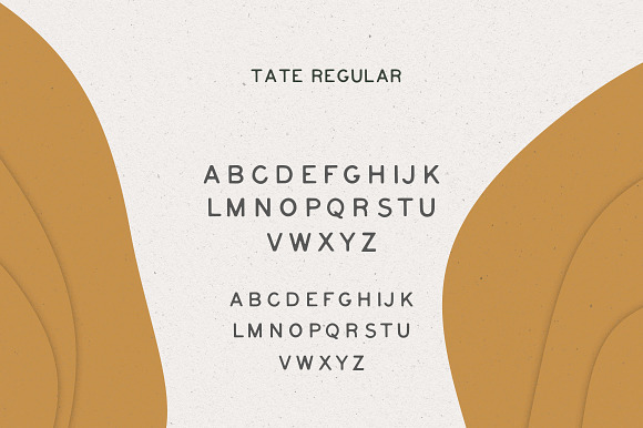 Tate Font in Display Fonts - product preview 2