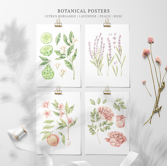 Organic LAB. Watercolor kit in Illustrations - product preview 1
