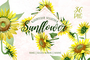 Sunflower Yellow Watercolor png