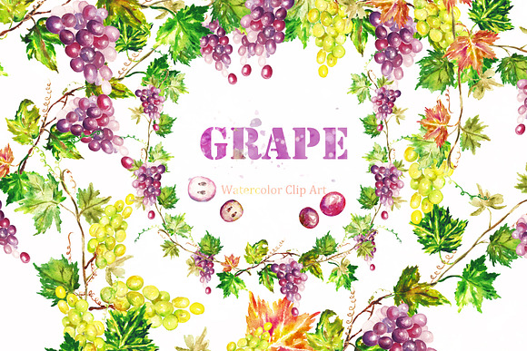 Grape watercolor Clip art in Illustrations - product preview 3