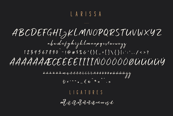 Larissa - Handwritten Font + Bonus in Script Fonts - product preview 7