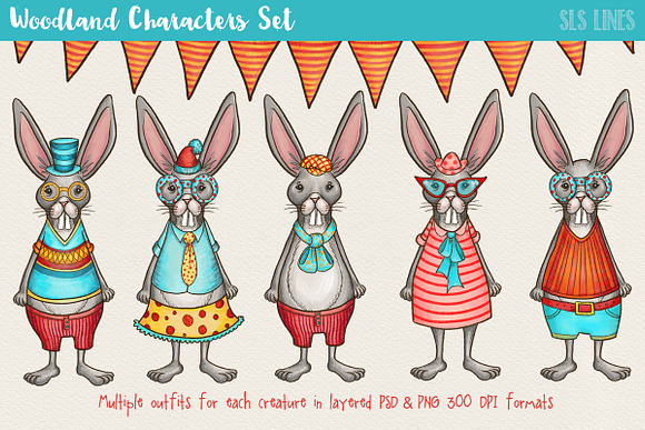 Woodland Creatures Character Creator in Illustrations - product preview 5