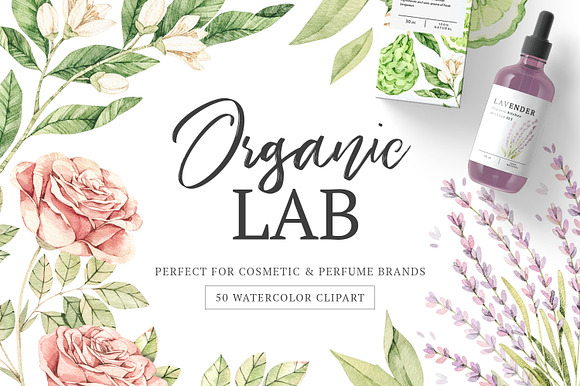 Organic LAB. Watercolor kit in Illustrations - product preview 7
