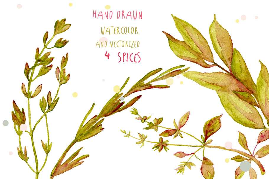 Watercolor spices vector hand drawn