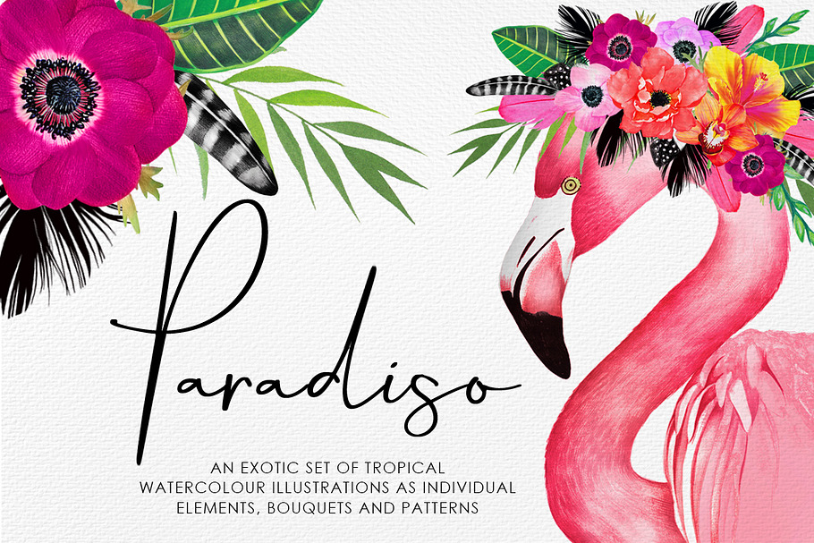 PARADISO PACK in Illustrations - product preview 8