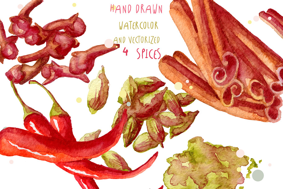 Watercolor spices hand drawn vector