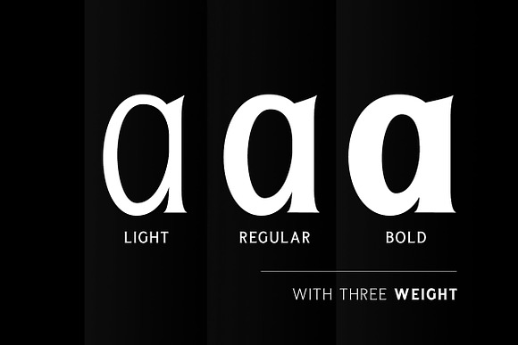 Seriously Display Serif (3 weights) in Display Fonts - product preview 3