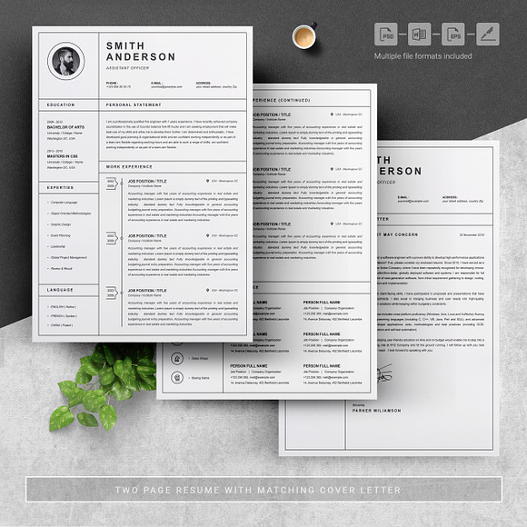 Clean & Professional Resume Template in Resume Templates - product preview 3