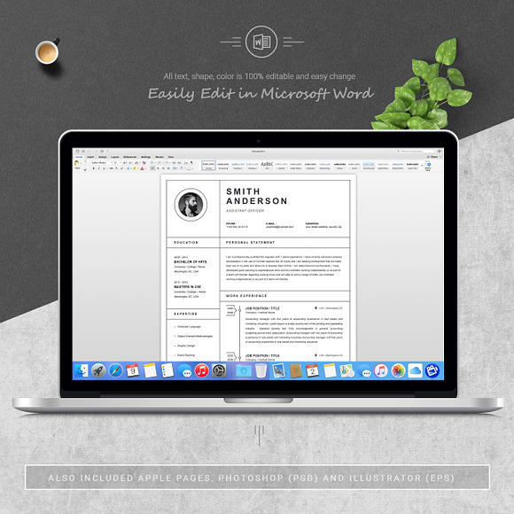 Clean & Professional Resume Template in Resume Templates - product preview 4