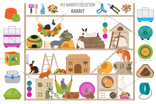 Pet rabbits set
