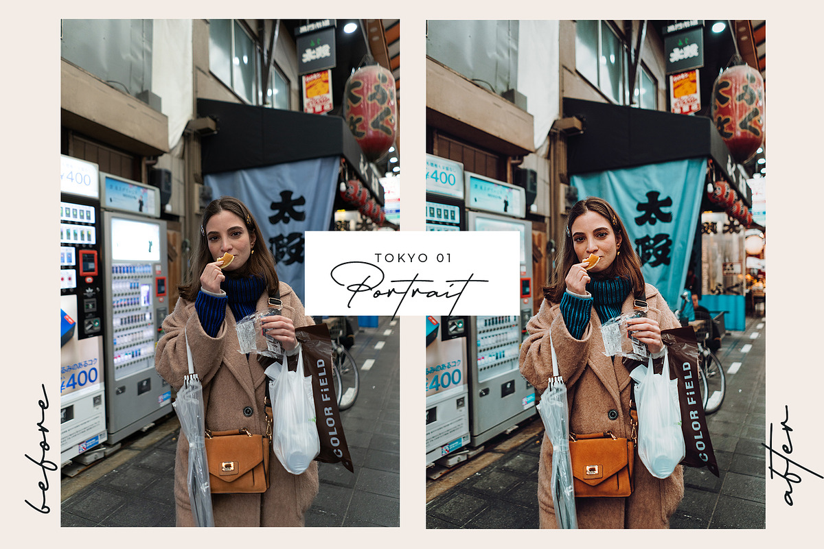 Japan Lightroom Presets in Photoshop Plugins - product preview 8
