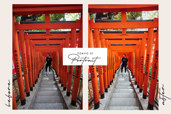 Japan Lightroom Presets in Photoshop Plugins - product preview 3